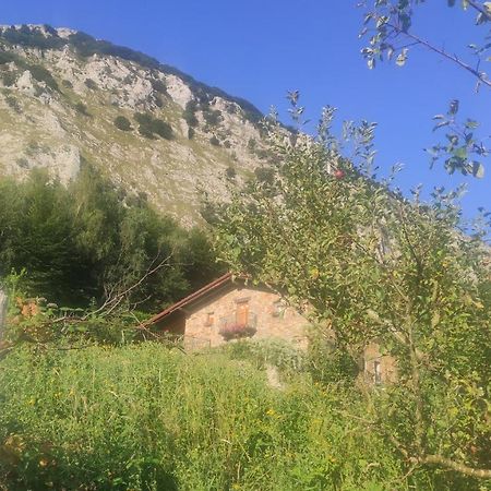 Dukebaso Villa Дуранго Екстериор снимка