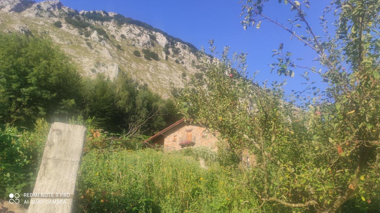 Dukebaso Villa Дуранго Екстериор снимка